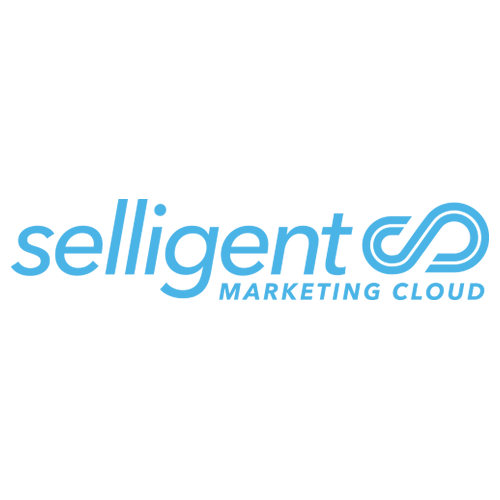 https://www.digitalchangelab.it/wp-content/uploads/2019/09/Selligent.png